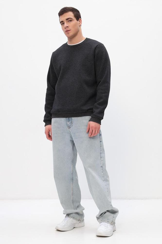 Толстовка мужская Бронд Г WB Арт. 10622