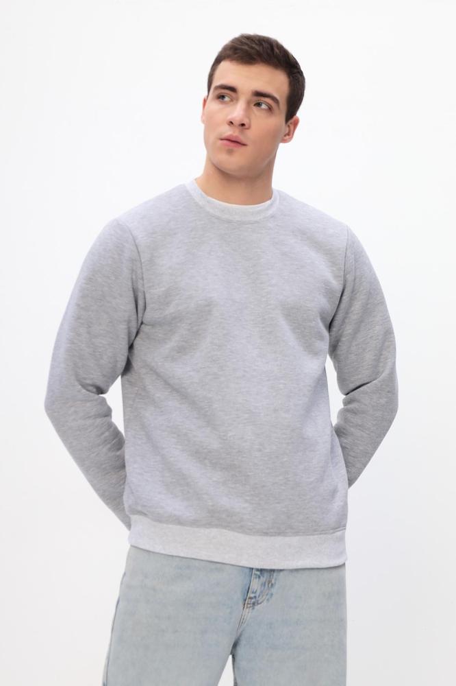 Толстовка мужская Бронд Е WB Арт. 10621