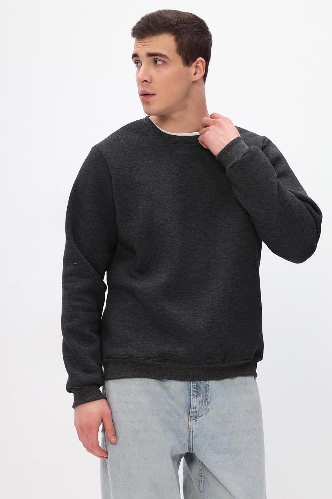 Толстовка мужская Бронд Г WB Арт. 10622