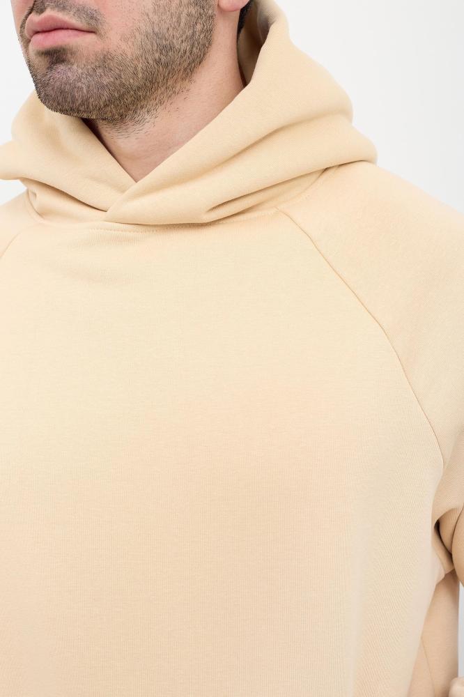 Толстовка мужская Дариан Б Арт. 9562