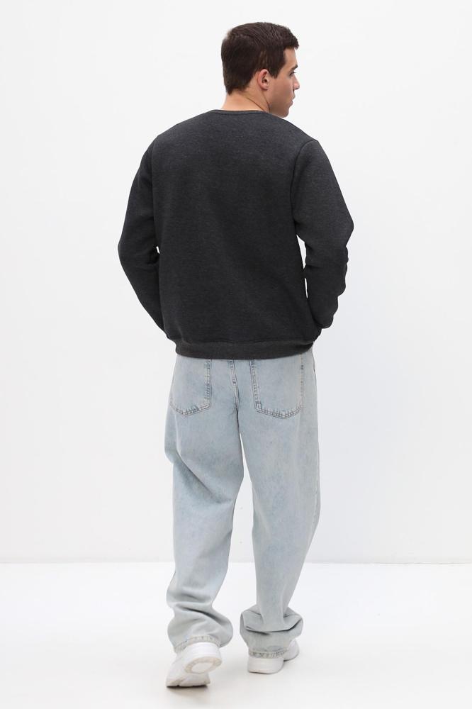 Толстовка мужская Бронд Г WB Арт. 10622