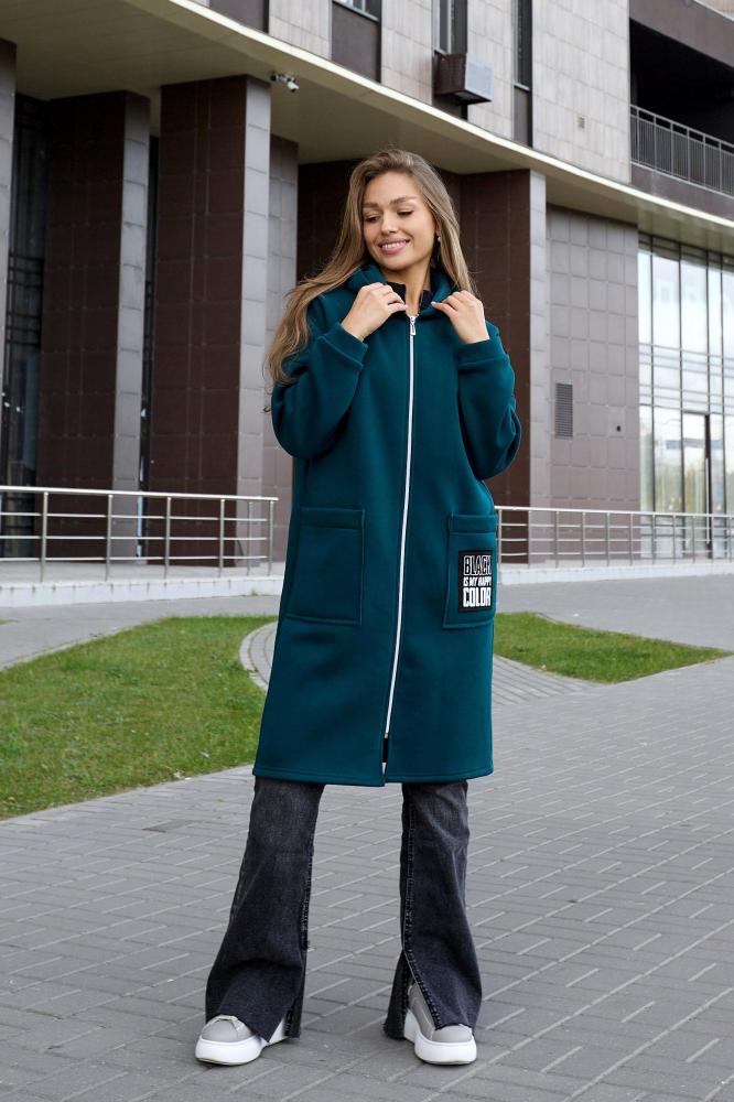 Толстовка женская Алина Б  Арт. 8797 Толстовка женская Алина Б  Арт. 8797