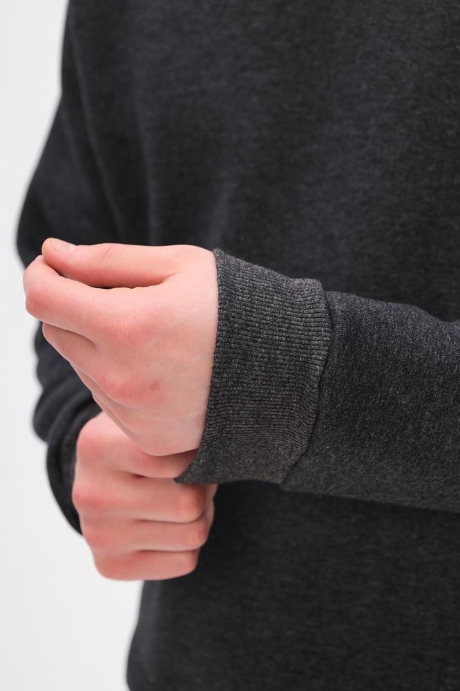 Толстовка мужская Бронд Г WB Арт. 10622