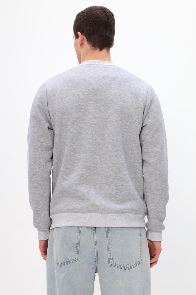 Толстовка мужская Бронд Е WB Арт. 10621