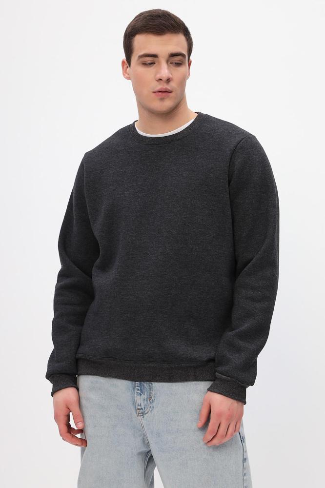 Толстовка мужская Бронд Г WB Арт. 10622