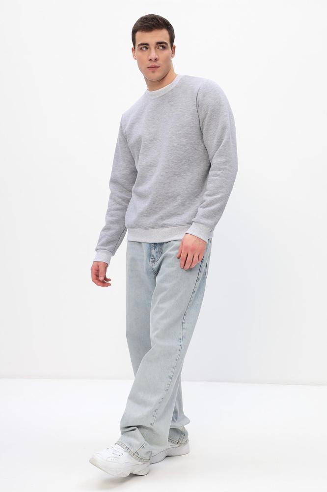 Толстовка мужская Бронд Е WB Арт. 10621