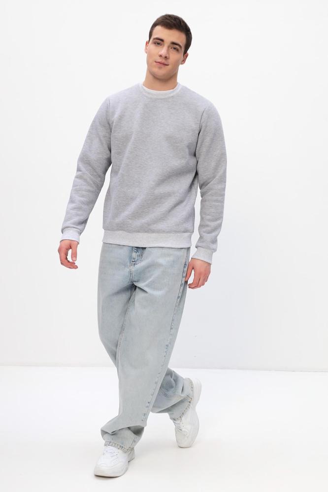 Толстовка мужская Бронд Е WB Арт. 10621