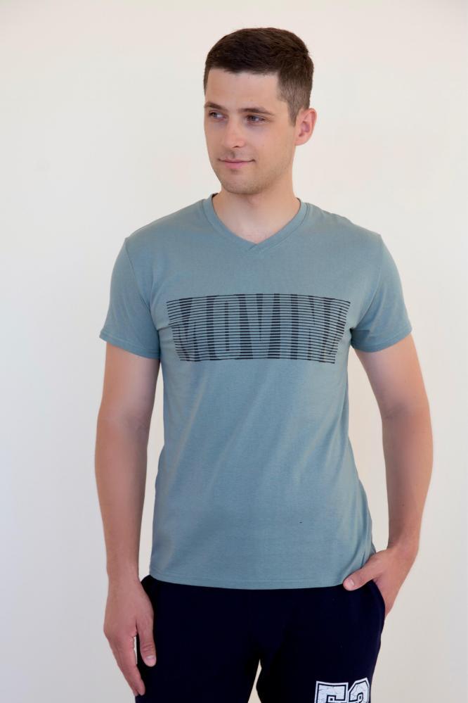 Футболка мужская Джулиан 2 Арт. 7526