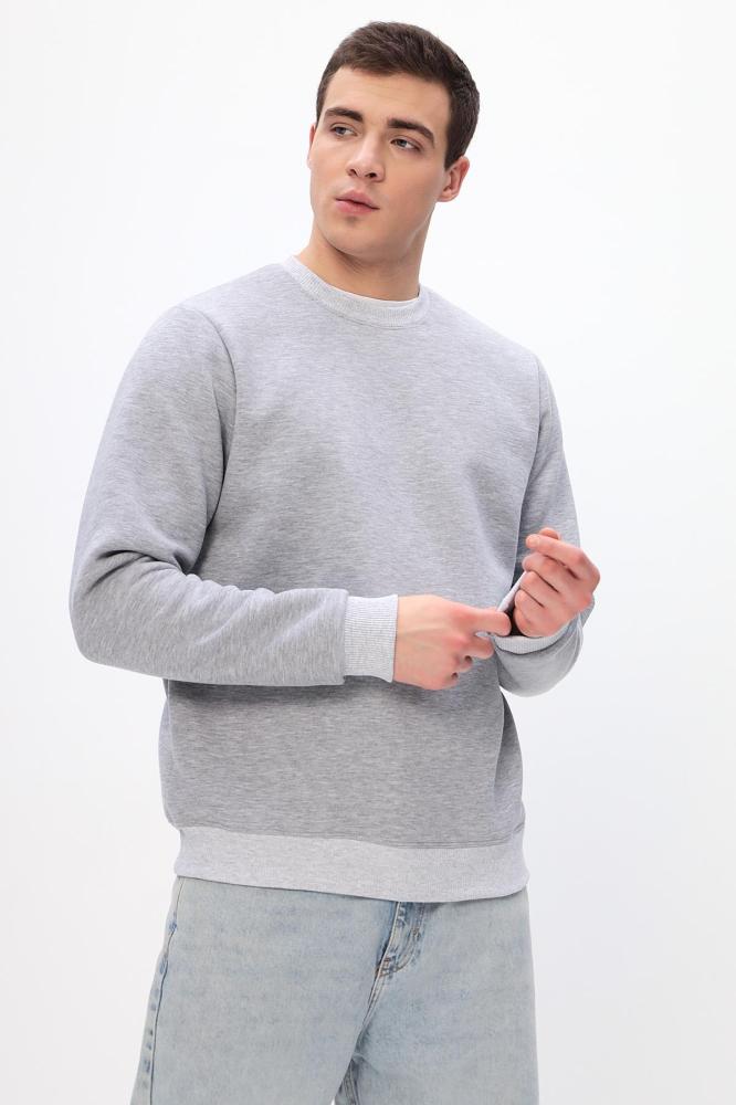 Толстовка мужская Бронд Е WB Арт. 10621