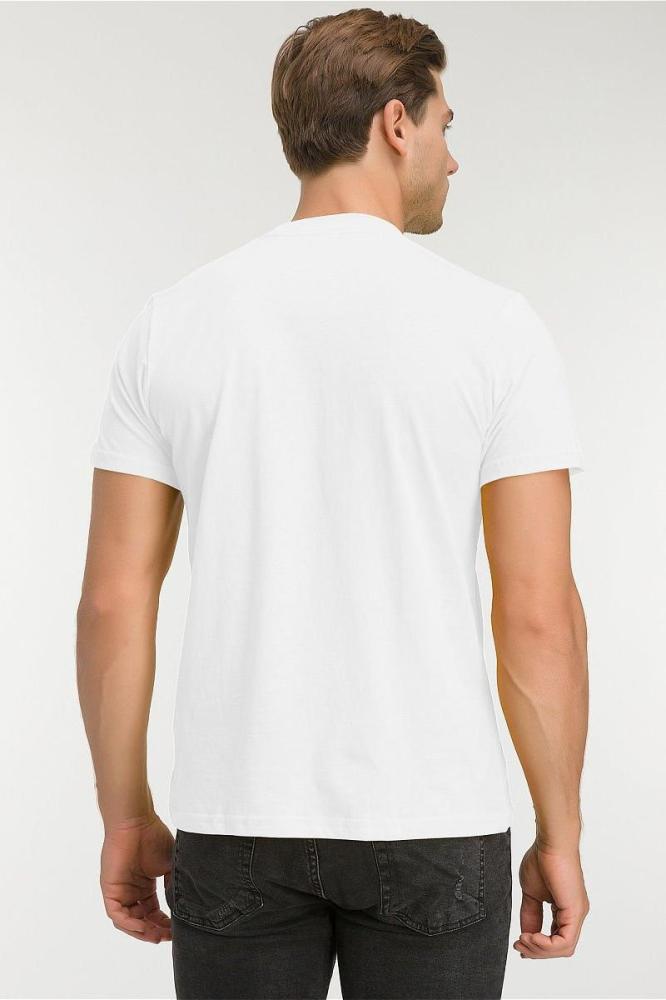 Футболка мужская Арт. 1174