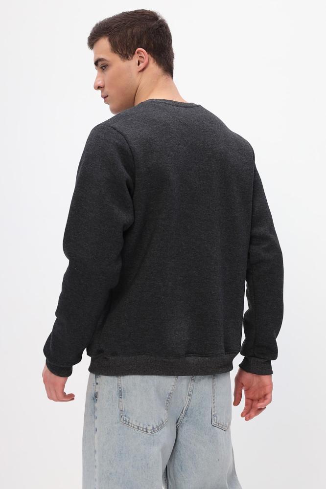 Толстовка мужская Бронд Г WB Арт. 10622