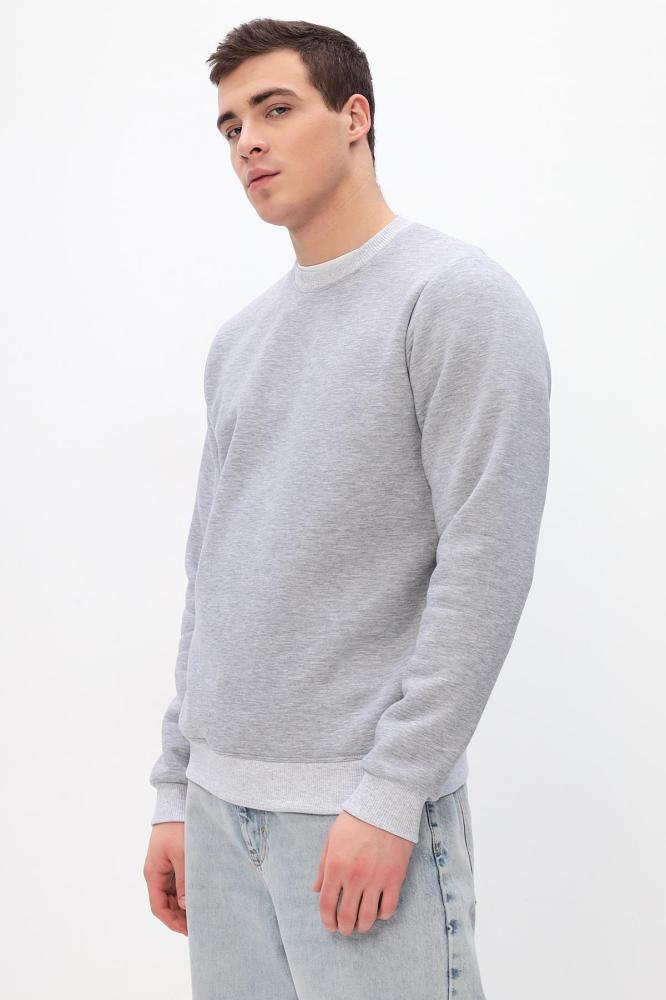 Толстовка мужская Бронд Е WB Арт. 10621