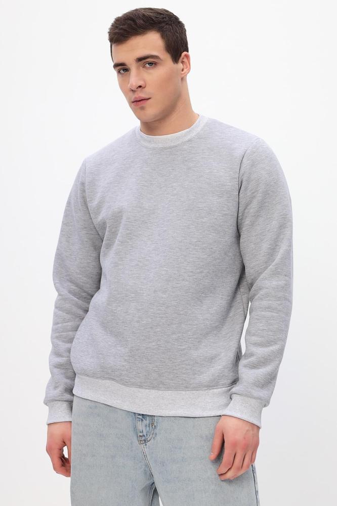 Толстовка мужская Бронд Е WB Арт. 10621