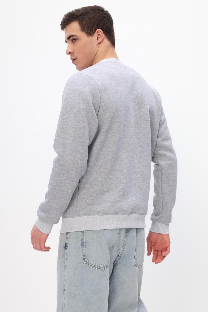 Толстовка мужская Бронд Е WB Арт. 10621