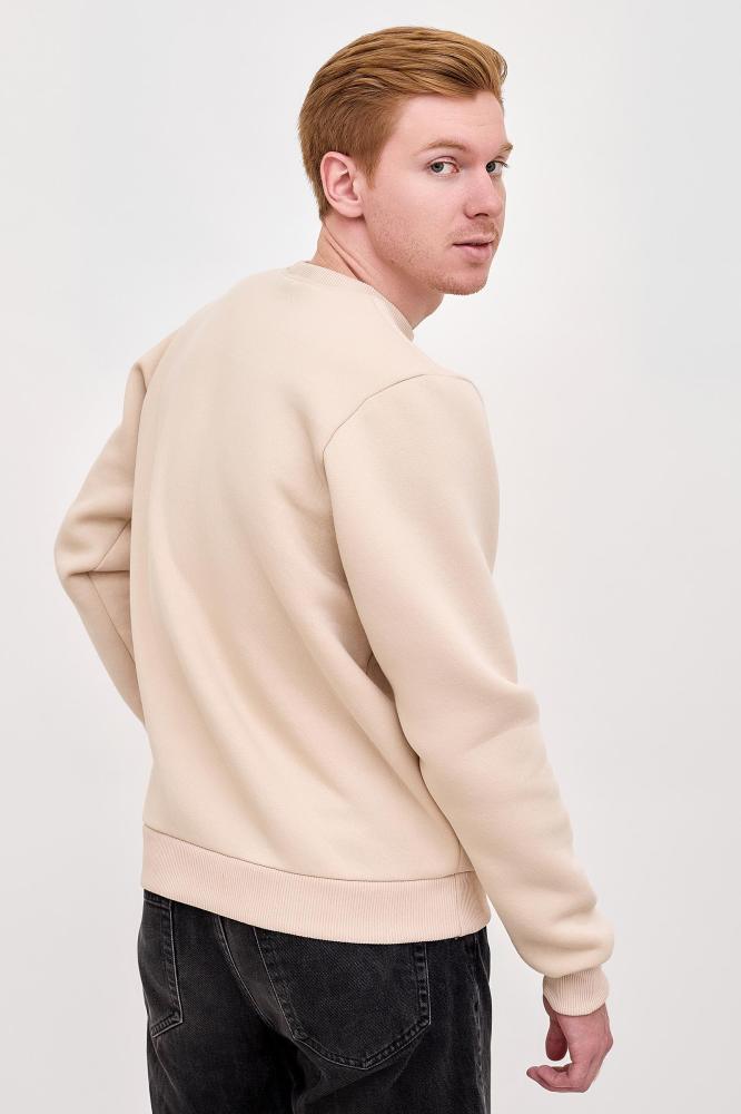 Толстовка мужская Бронд Б Арт. 9014