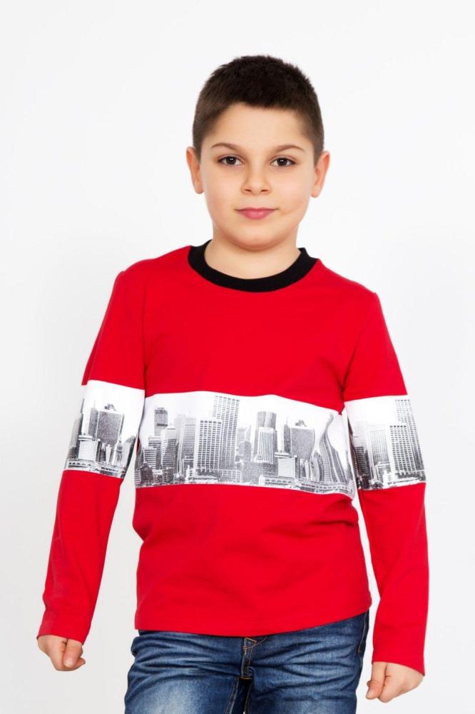 Толстовка Сити Арт. 3049