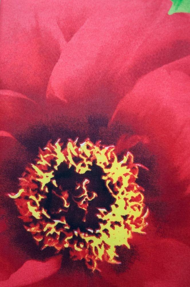 КПБ 2,0 Маки Арт. 716