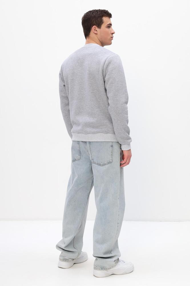 Толстовка мужская Бронд Е WB Арт. 10621