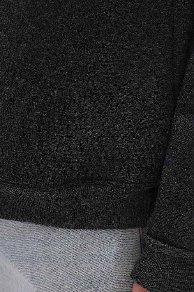 Толстовка мужская Бронд Г WB Арт. 10622