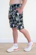 Шорты мужские Пляж А Арт. 7552