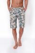 Шорты мужские Пляж Х Арт. 7164