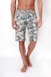 Шорты мужские Пляж Х Арт. 7164