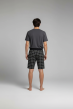 Шорты мужские Стивен Х Арт. 10309